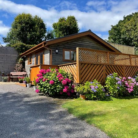 Swansea Log Cabin Pontardawe Екстер'єр фото
