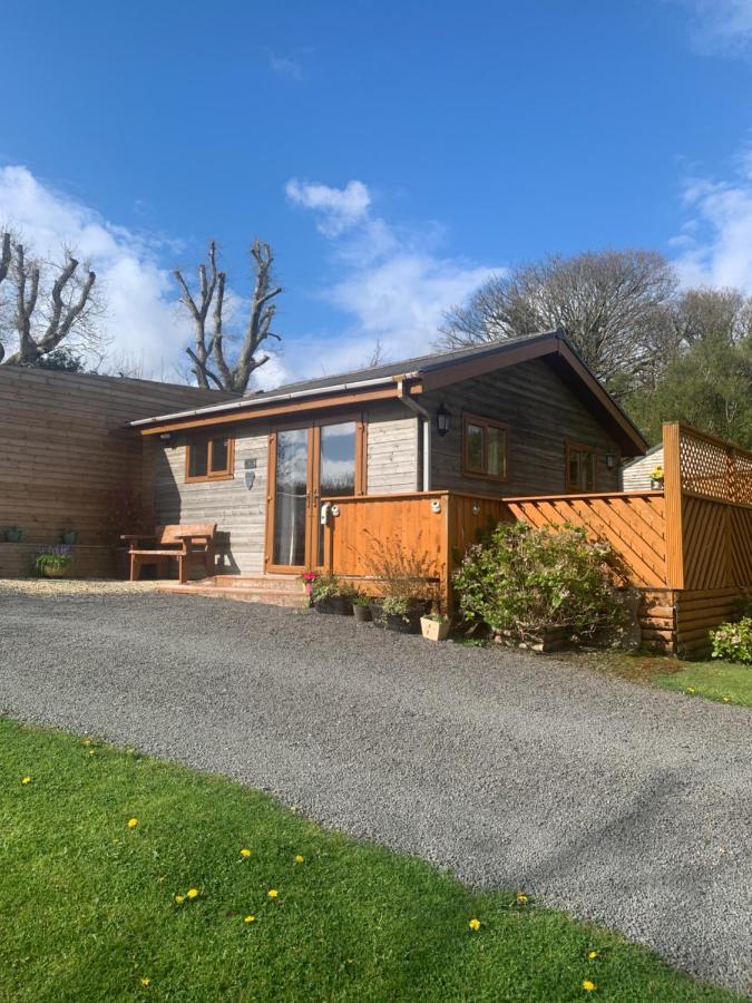 Swansea Log Cabin Pontardawe Екстер'єр фото