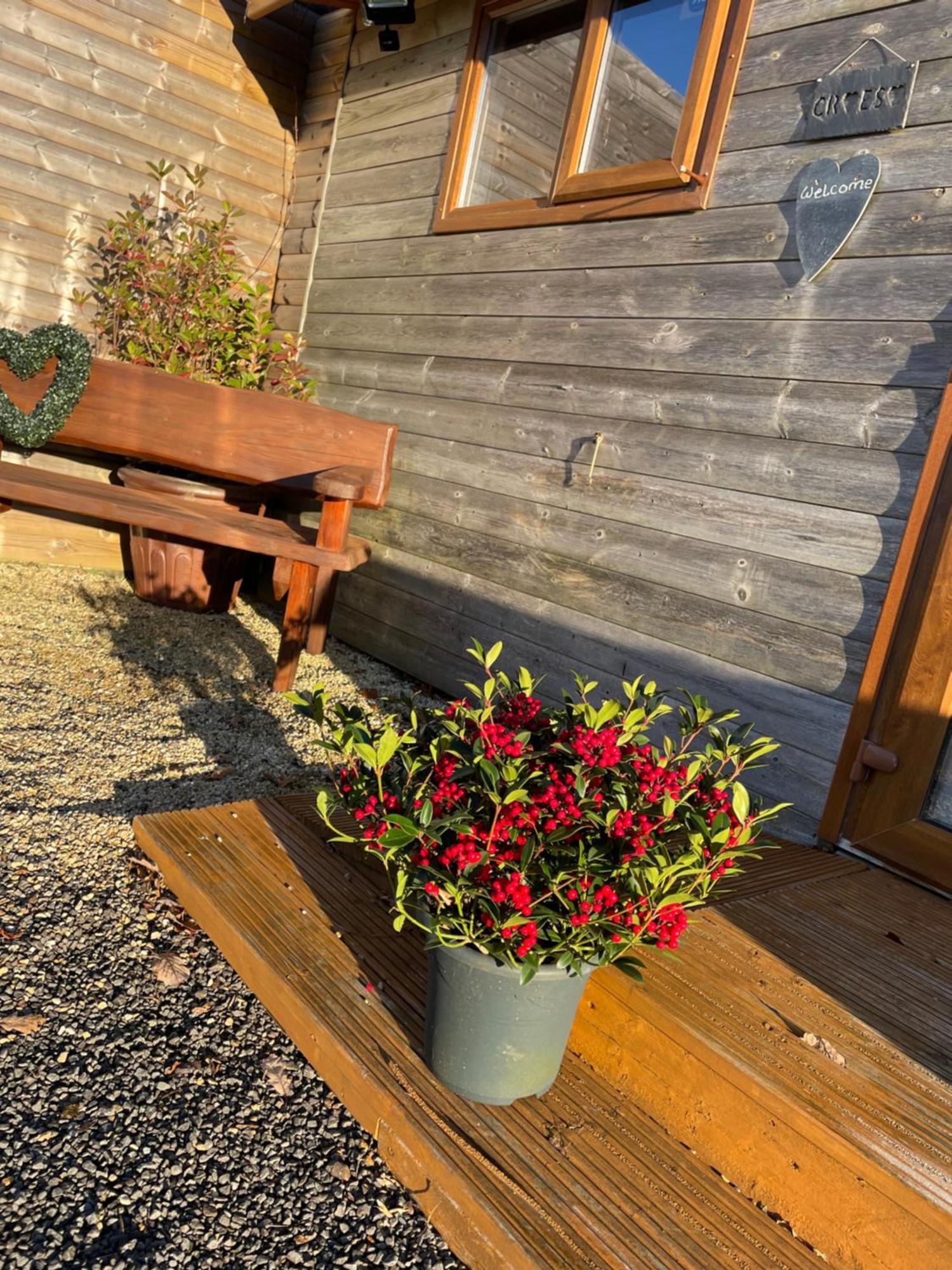Swansea Log Cabin Pontardawe Екстер'єр фото