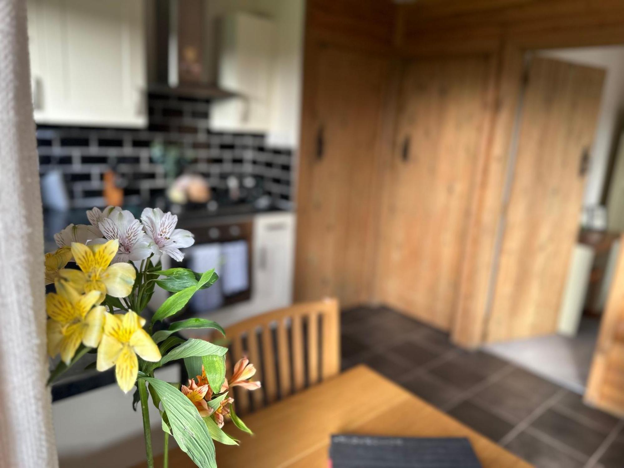 Swansea Log Cabin Pontardawe Екстер'єр фото