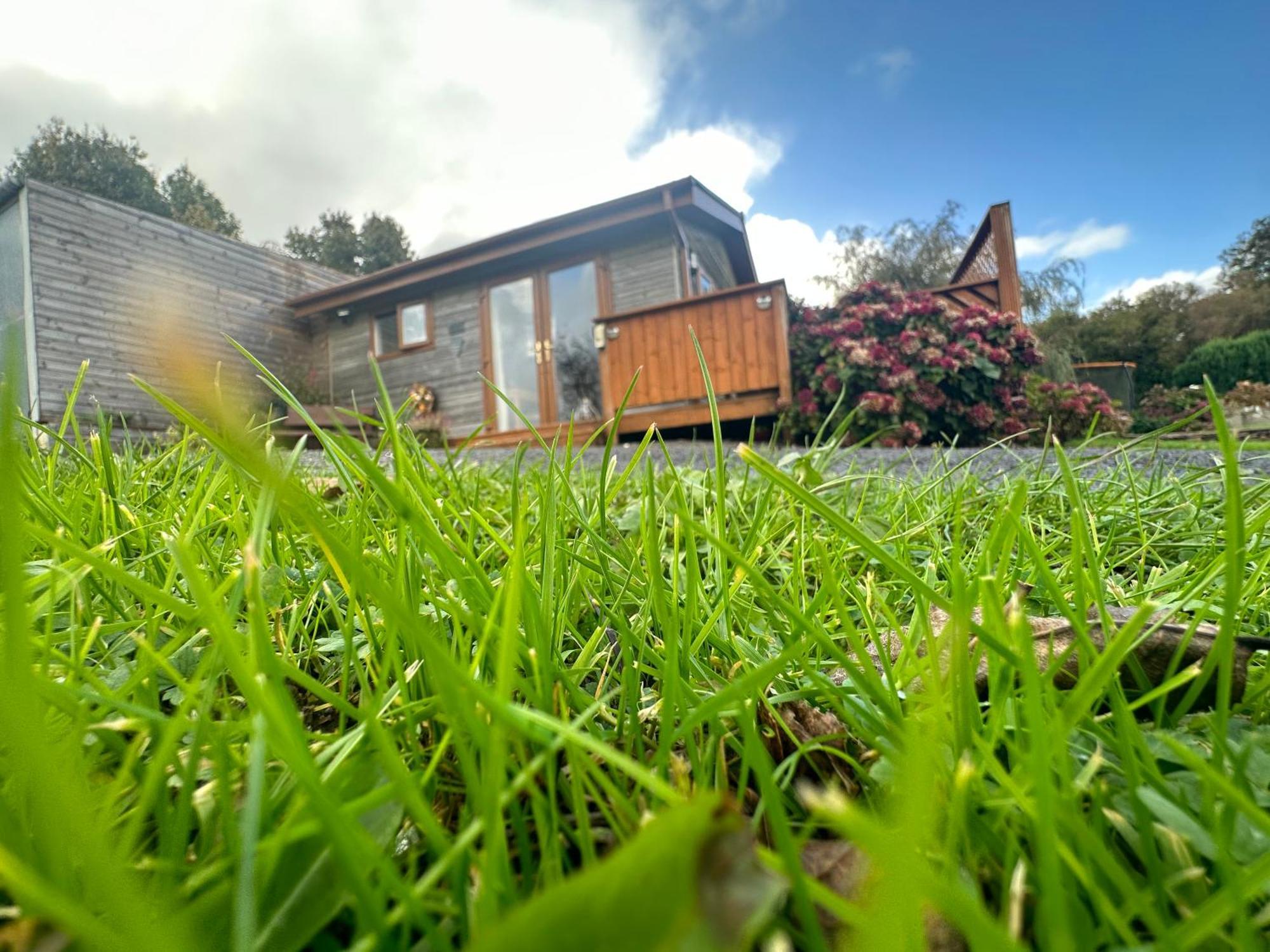 Swansea Log Cabin Pontardawe Екстер'єр фото