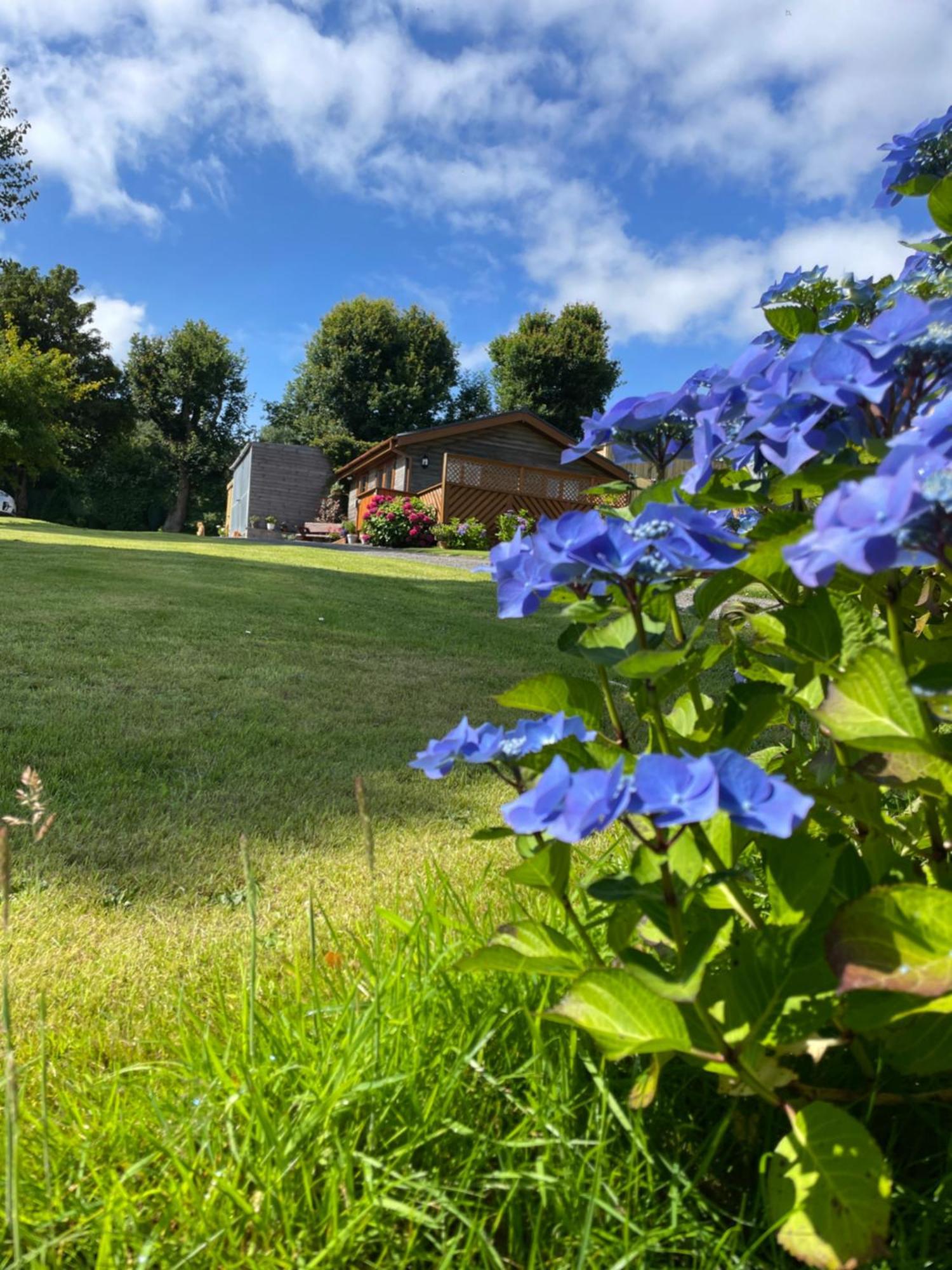 Swansea Log Cabin Pontardawe Екстер'єр фото