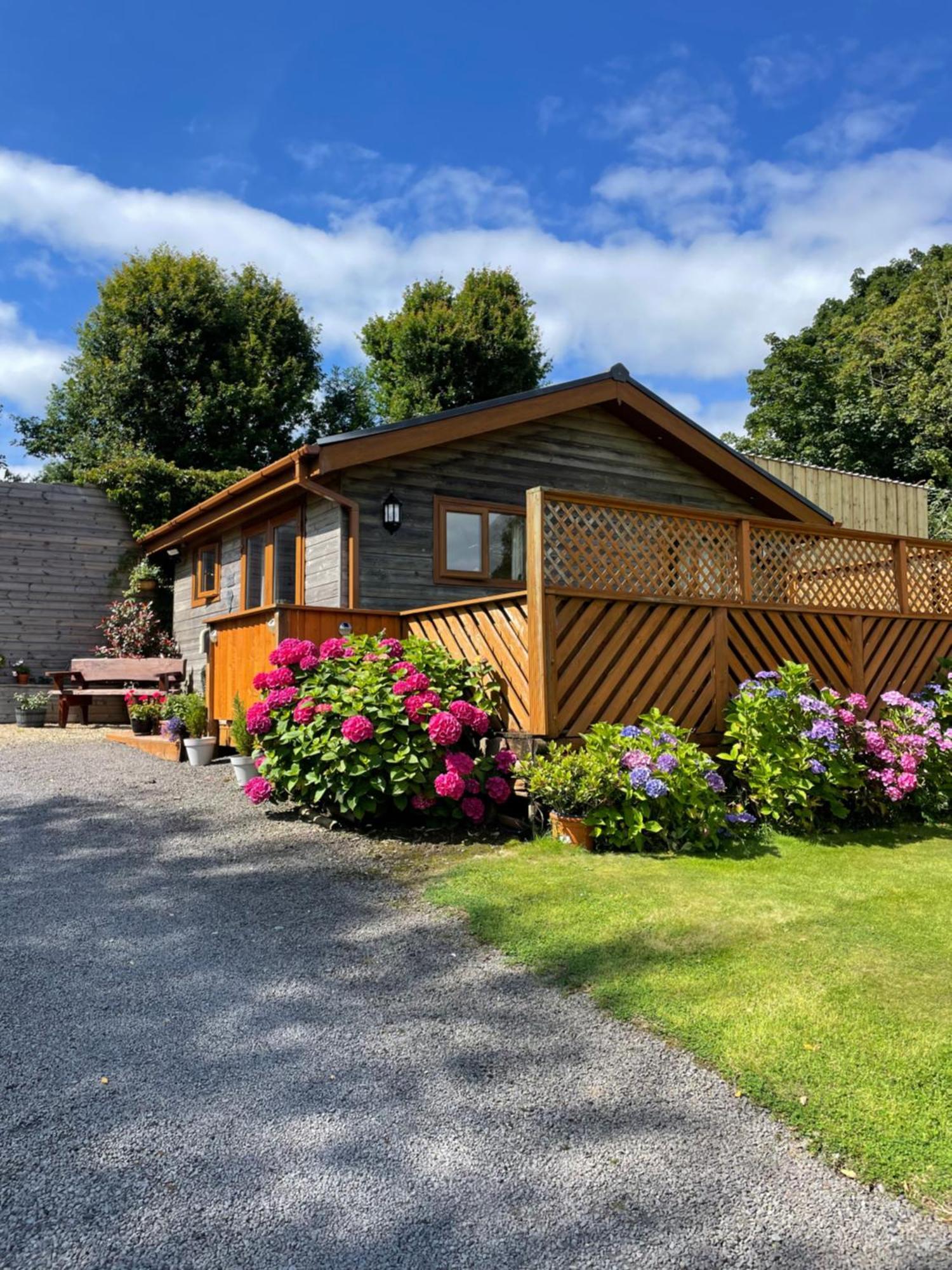 Swansea Log Cabin Pontardawe Екстер'єр фото