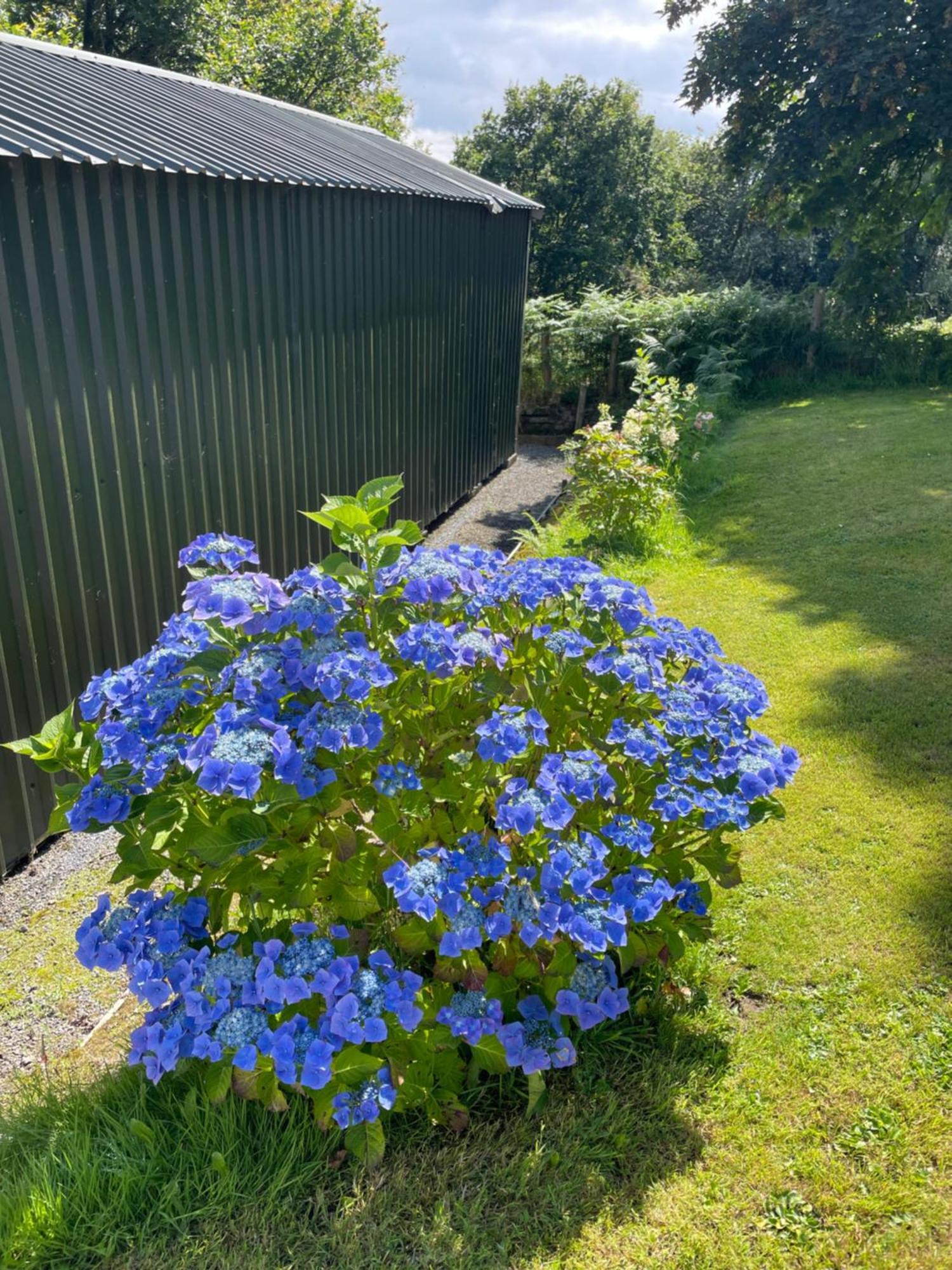 Swansea Log Cabin Pontardawe Екстер'єр фото