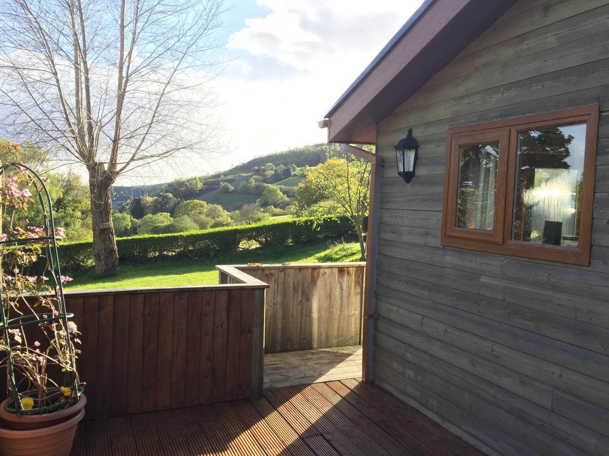 Swansea Log Cabin Pontardawe Екстер'єр фото