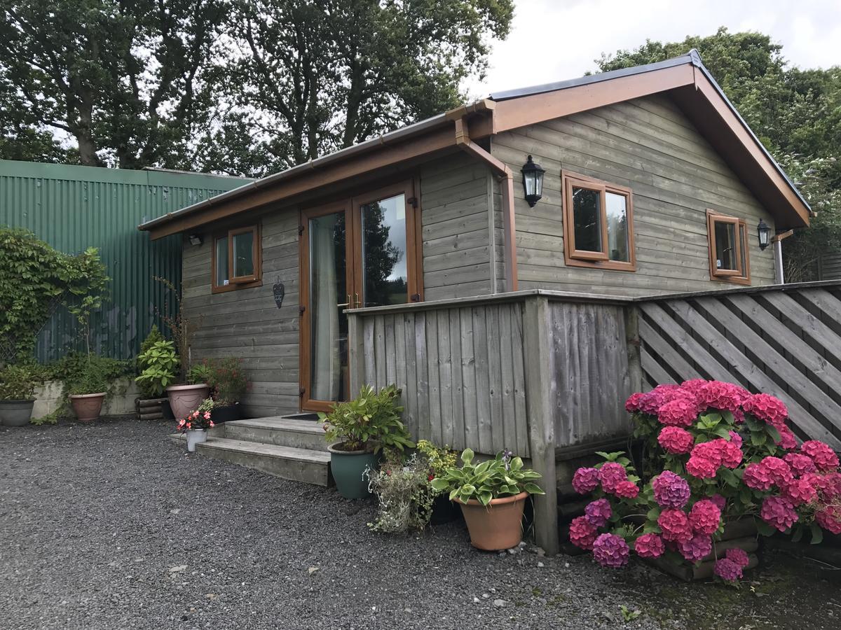Swansea Log Cabin Pontardawe Екстер'єр фото