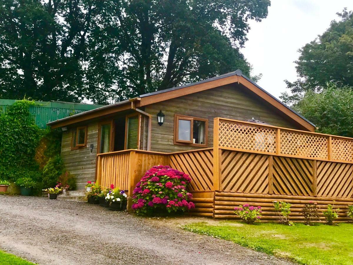 Swansea Log Cabin Pontardawe Екстер'єр фото